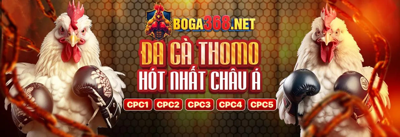 Giao diện ứng dụng FB88 trên điện thoại