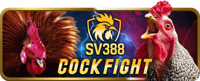 Tiền thưởng chào mừng FB88
